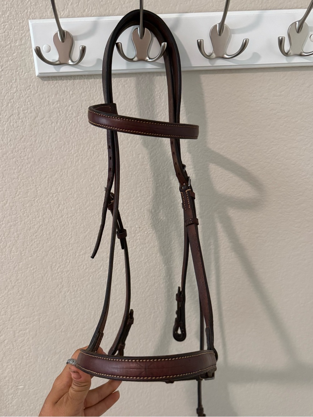 Warwick simple Hunter bridle